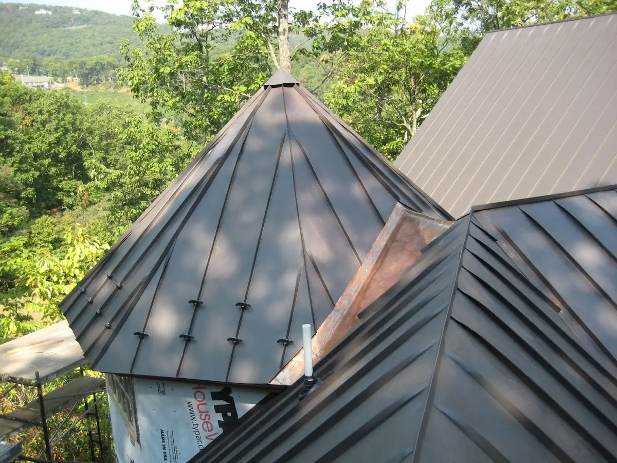 Professional Gutter Cleaning by Craftsman Roofing in Plumas Lake